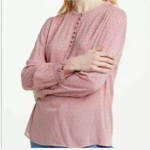 Boden Lori Mauve Textured Swiss Top sz 6